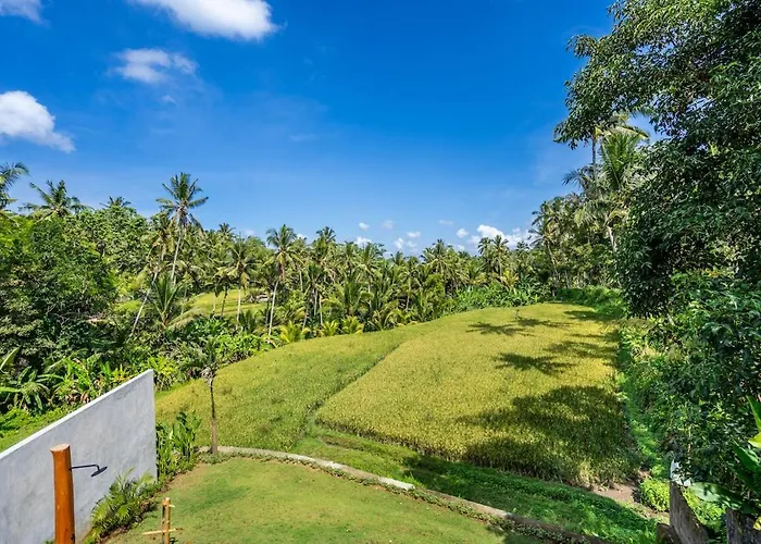Tropical Bamboo Luxury Aliapard Ii Villa *